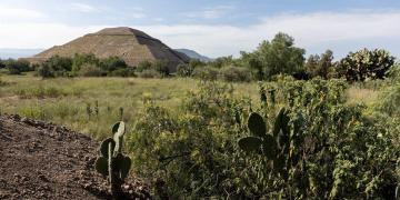 Sacrifícios Animais Revelam os Mistérios de Teotihuacán