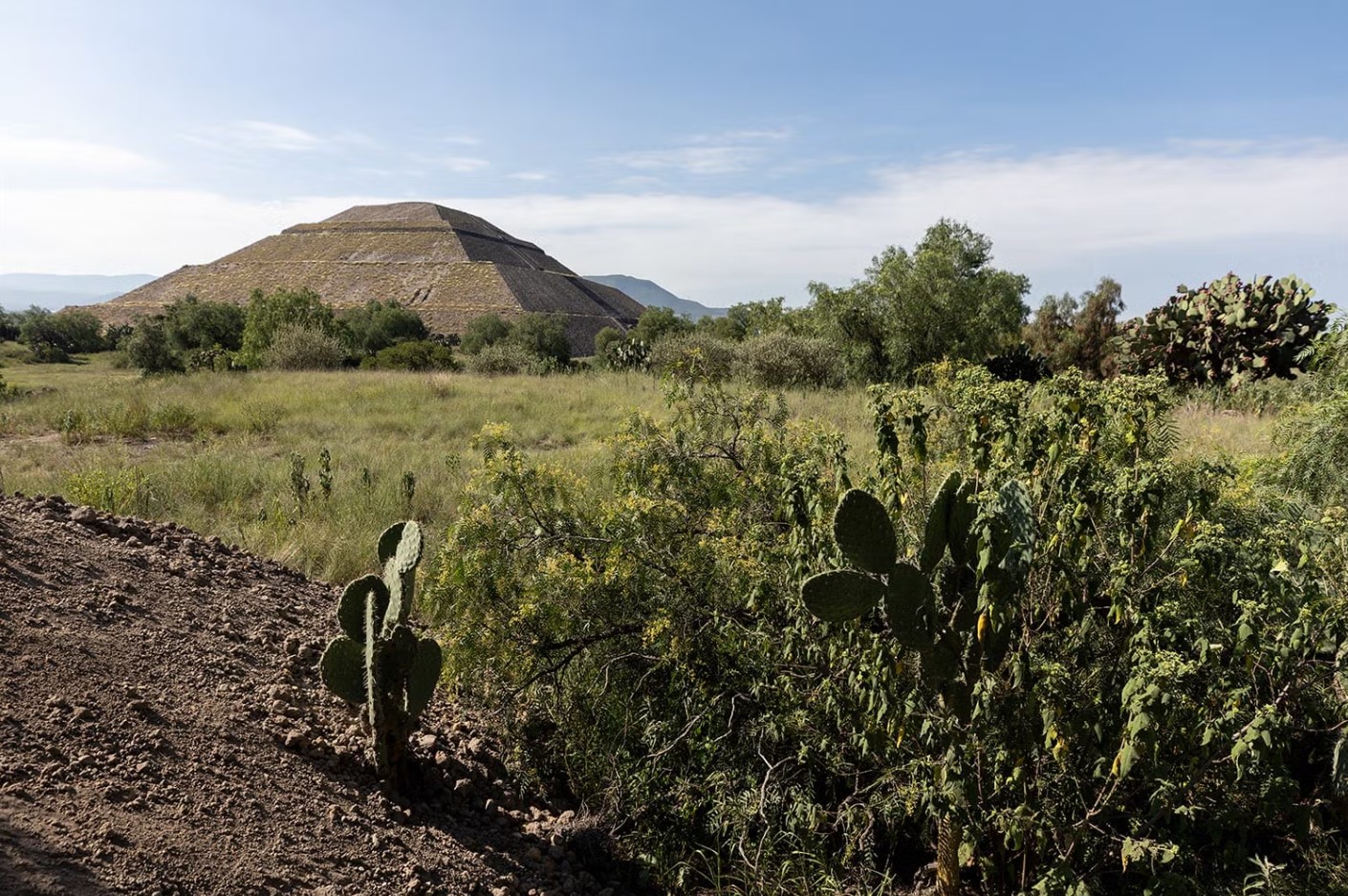 Sacrifícios Animais Revelam os Mistérios de Teotihuacán
